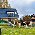 Tatry - Stacja Wierchowa 972 M *
