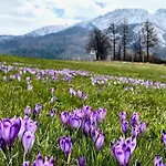 Alpehytte Tatry - Stacja Wierchowa 972 M Brzegi (Tatra)
