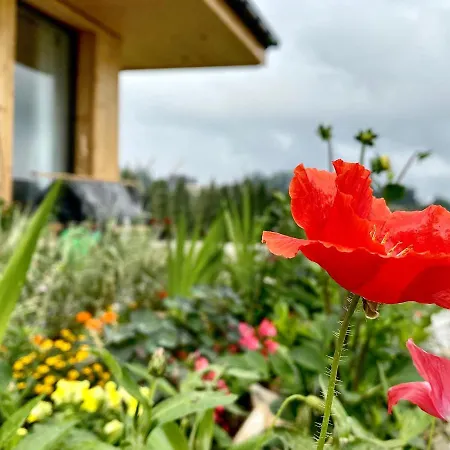 Chalet Tatry - Stacja Wierchowa 972 M