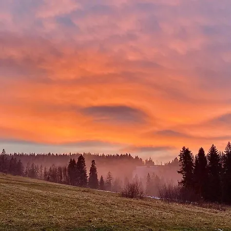 Tatry - Stacja Wierchowa 972 M
