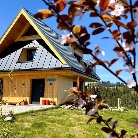 Chalet Tatry - Stacja Wierchowa 972 M Brzegi (Tatra)