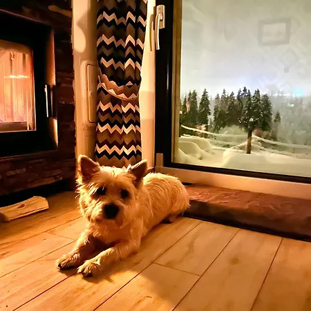 Chalet Tatry - Stacja Wierchowa 972 M