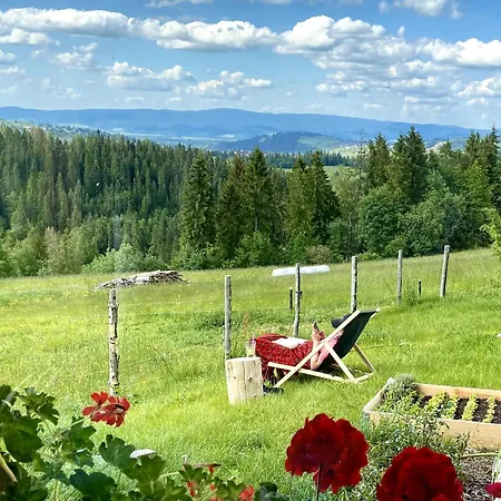 Tatry - Stacja Wierchowa 972 M * Brzegi (Tatra)