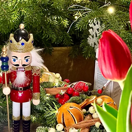 シャレー Tatry - Stacja Wierchowa 972 M