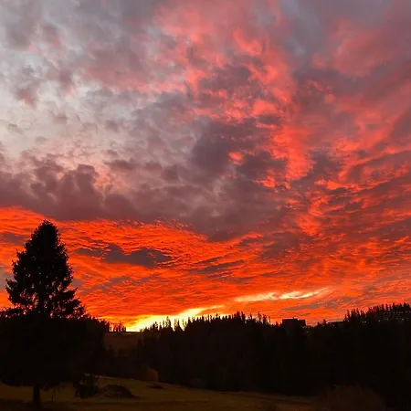 Tatry - Stacja Wierchowa 972 M