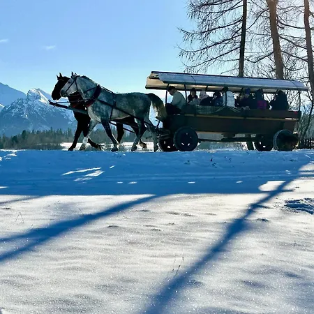 シャレー Tatry - Stacja Wierchowa 972 M *