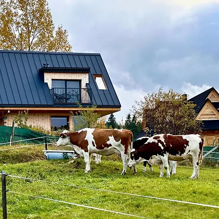 Tatry - Stacja Wierchowa 972 M *