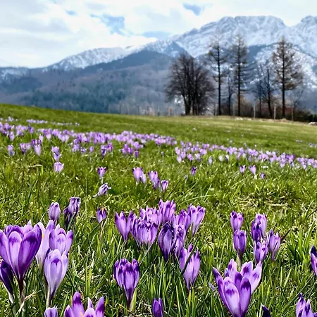 Σαλέ Tatry - Stacja Wierchowa 972 M Brzegi (Tatra)