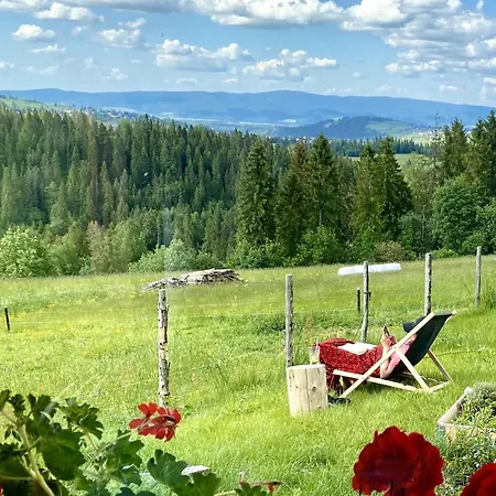 Tatry - Stacja Wierchowa 972 M Σαλέ Brzegi (Tatra)
